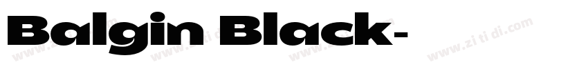 Balgin Black字体转换
